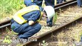 運輸安全委員会の事故調査始まる　４年前にも脱線事故発生の弘南鉄道大鰐線|TBS NEWS DIG