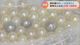 ことしは例年通りの美しい出来栄えに 「真珠のふるさと」で品評会 三重・志摩市 | 名古屋・愛知・岐阜・三重のニュース【CBC news】 | CBC web