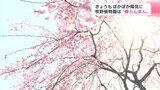 高知県立牧野植物園は春らんまん! 春の花は5月の連休明けまで楽しめそう | 高知のニュース・天気|KUTV NEWS | KUTVテレビ高知
