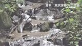 東沢渓谷で沢登りをしていた男性が滝壺に滑落 県警ヘリに救助されるも死亡 山梨|TBS NEWS DIG