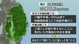伐採作業中に83歳男性が死亡　仰向けで倒れているのを作業員が発見　頭に倒木が当たった可能性　岩手・八幡平市|TBS NEWS DIG