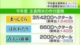 「まっしぐら」3万4200ヘクタールと前年比の3400ヘクタール増 作付け全体の8割占める 今年産の主食用米の品種別作付面積 青森県のまとめで明らかに|TBS NEWS DIG