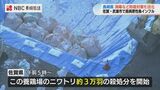 【長崎】佐賀県での鳥インフル発生を受け“4カ所に車両消毒ポイントを設置” 鳥インフルエンザ対策本部会議 | 長崎のニュース | 天気 | NBC長崎放送