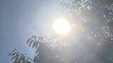 【関東甲信】8月3日~7日頃にかけ最高気温が35度以上となる所がある見込み 熱中症に注意|TBS NEWS DIG