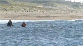 水難事故で高校生1人が心肺停止に　6人で海の中を歩いていたら風で流され溺れる　新潟市西区|TBS NEWS DIG