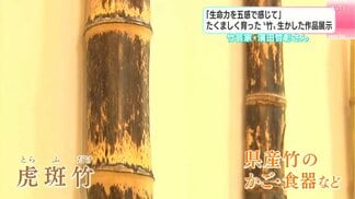 全国で高知だけの竹も…竹を使った個展『素在』　高知大丸で25日から開催　|　高知のニュース・天気｜KUTV NEWS | KUTVテレビ高知