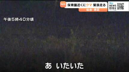 仙台の保育園近くにクマ出没で一時緊張走る 園児が外に出られず・麻酔