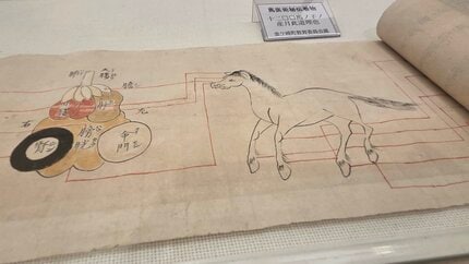 会場には珍しい馬医術の教科書や医療器具なども 江戸時代から代々、馬