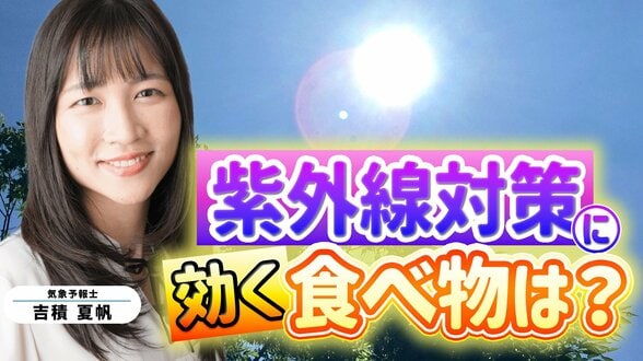 紫外線「非常に強い」以上の日数が35年で2.5倍に！オゾン層は回復したのになぜ？ 6月から特に気を付けたい紫外線…食事からも対策を！元食品メーカー営業の気象予報士が解説【MBSお天気通信】　|　MBSニュース | 関西の最新ニュースを分かりやすく。