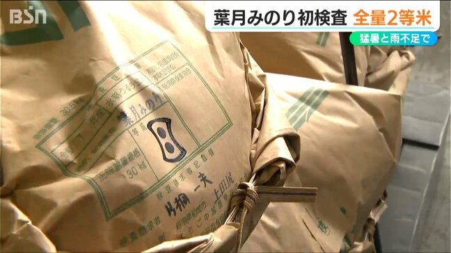 「猛暑と雨不足の影響で初検査は全量2等米」極早生品種『葉月みのり』JAは高温障害でも味に影響なしと強調　新潟|TBS NEWS DIG