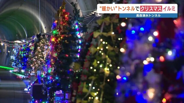 冬なのに暖かい…“全国でも珍しい”トンネルイルミ 暗闇に浮かぶツリーの幻想的な光|TBS NEWS DIG