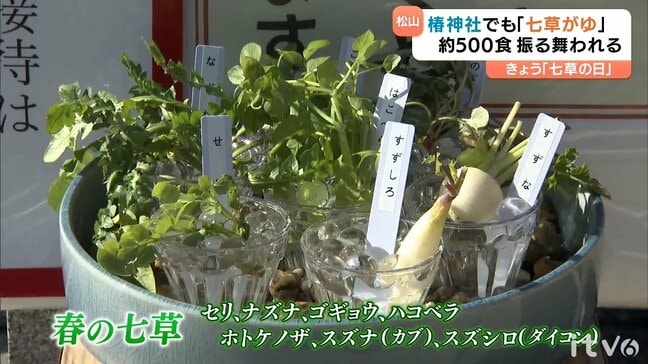 無病息災を願い 椿神社で「七草がゆ」 |TBS NEWS DIG