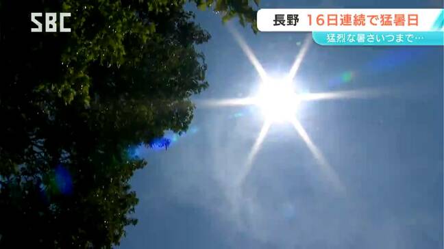 長野県内は猛烈な暑さ続く 上田で全国10位の38.7度 長野は16日連続の猛暑日で観測史上最長を更新 5日も熱中症警戒アラート発表|TBS NEWS DIG