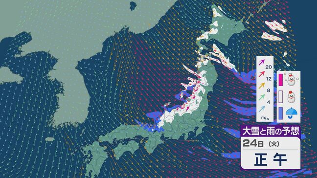 イブの日「ホワイトクリスマス」の場所は? 24日までは日本海側では雪が降り続く見込み  最新の雪と風シミュレーション|TBS NEWS DIG