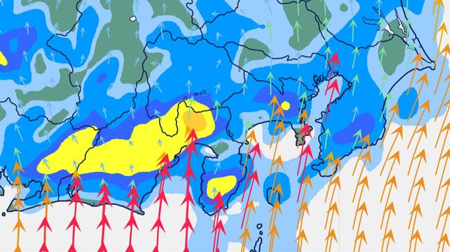 【大雨情報】関東甲信 警報発表地域が拡大の可能性も 17日にかけて大雨のおそれ 【発雷確率・雨と風のシミュレーション】|TBS NEWS DIG