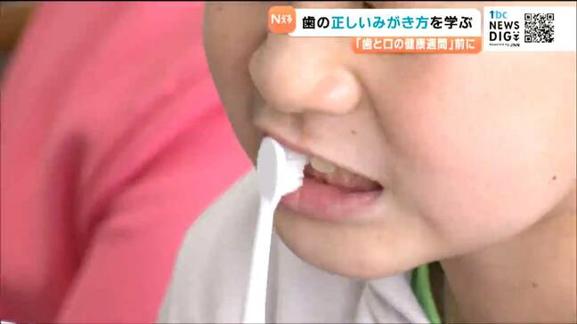 「毛先が広がらない位の軽い力で」正しい“歯の磨き方”小学生にレクチャー 仙台|TBS NEWS DIG