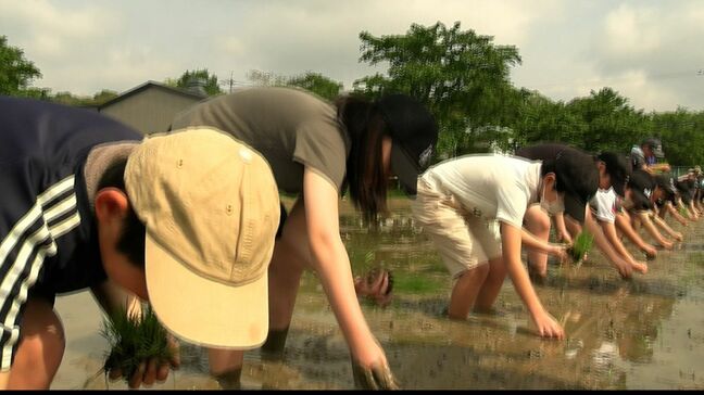 津山市の小学生が「支援米」の田植え 食糧難に苦しむマリ共和国の人々へ収穫した米を送る【岡山】 |TBS NEWS DIG