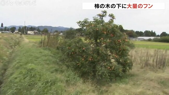 「朝晩は外に出られない」富山市でクマ痕跡相次ぎ警戒を呼びかけ|TBS NEWS DIG