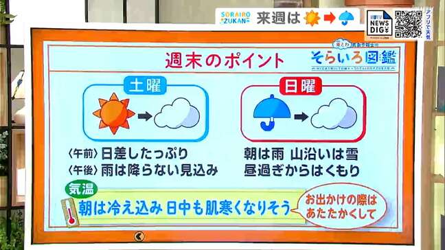 高知の天気　24日は日差しが戻る　25日は再び雨や雪に　東杜和気象予報士が解説|TBS NEWS DIG