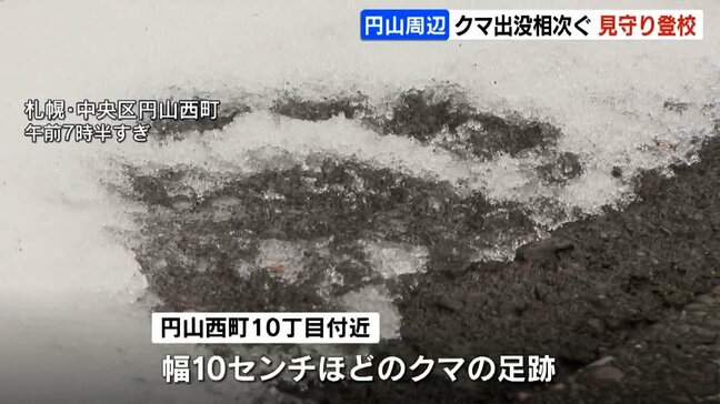 札幌・円山地区の住宅街などでクマの出没が相次ぎ、付近の小学校で見守り登校実施　札幌市は円山公園の全面閉鎖も決定|TBS NEWS DIG