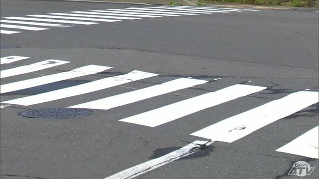 横断歩道を歩いていた男性を軽乗用車ではねたか　過失運転傷害の疑いで33歳の女を逮捕　警察の調べに対して女は容疑認める　青森県八戸市の市道|TBS NEWS DIG