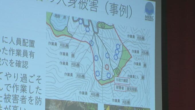 クマが出没する場所は？リスク軽減に向け研究進む　ドングリがなる植物の種子数などから予測も　|　BSSニュース | BSS山陰放送