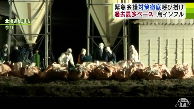 全国で過去最多ペースで発生の「鳥インフルエンザ」青森県が養鶏業者や関係機関との緊急会議を開催　対策の徹底呼びかけ　|　青森のニュース│ATV NEWS│青森テレビ