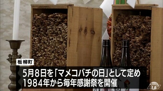 リンゴの授粉でも活躍の「マメコバチ」に感謝　板柳町で毎年恒例の感謝祭　町の関係者やリンゴ農家などが今シーズンのリンゴ豊作など願う|TBS NEWS DIG