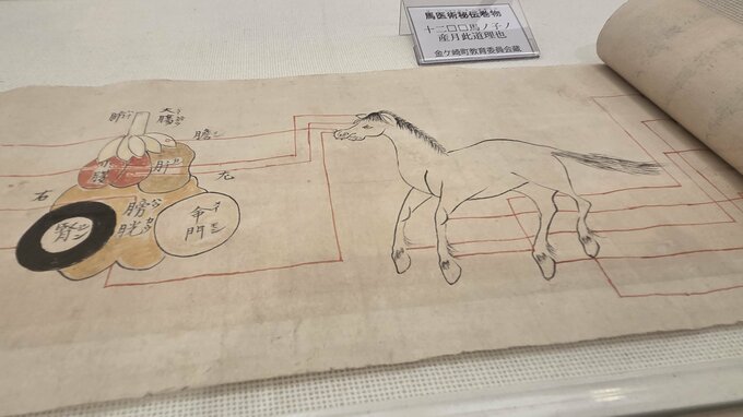会場には珍しい馬医術の教科書や医療器具なども　江戸時代から代々、馬医・獣医として活躍した桑島家の活躍を紹介する企画展　岩手　|　IBC NEWS | IBC岩手放送