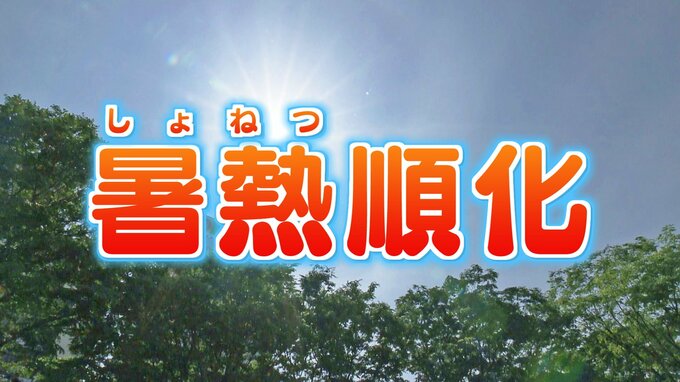 まだ5月だけど…熱中症対策するなら今でしょ！知っていますか？「暑熱順化」　|　福島のニュース│TUF