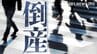 【倒産情報】「日本トイザらス」が民事再生申請 負債総額は約132億円　ピーク時は1943億円超える売上高を計上も…少子化やネット通販との競争の影響で赤字に【東京商工リサーチ】|TBS NEWS DIG