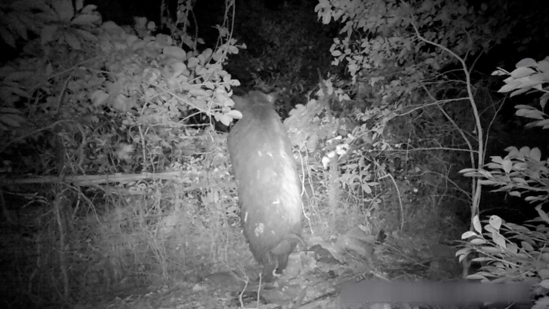 img_f87c309859d9f604e8055b2a20