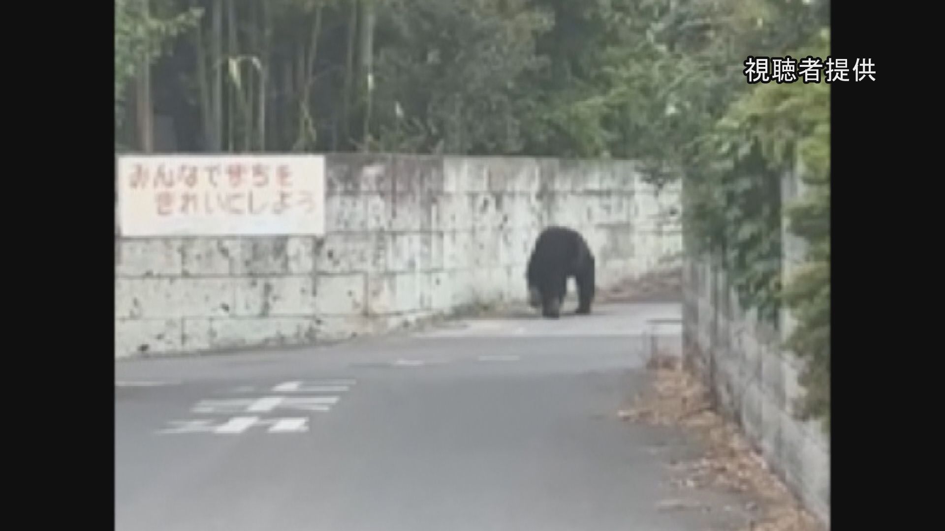 速報】「中学の敷地内の雑木林にクマが隠れている」通報相次ぎ警察や