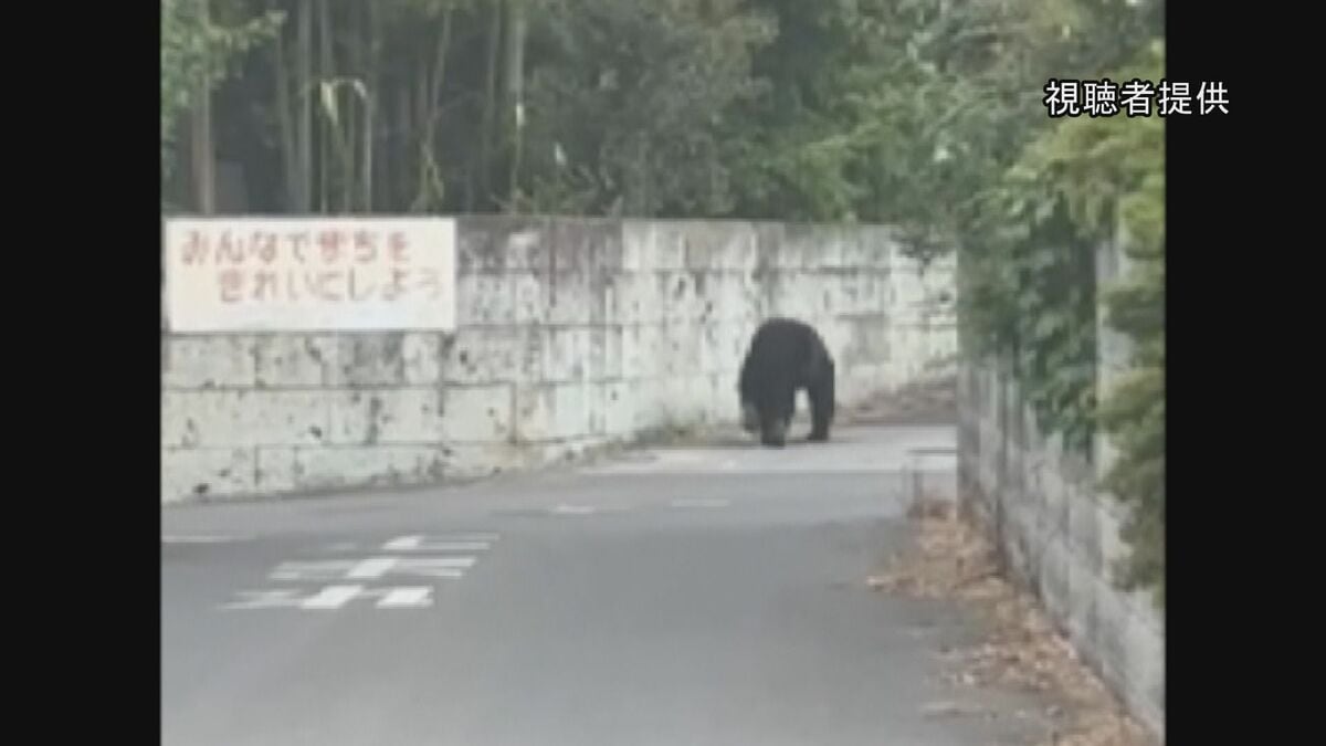 速報】「中学の敷地内の雑木林にクマが隠れている」通報相次ぎ警察や