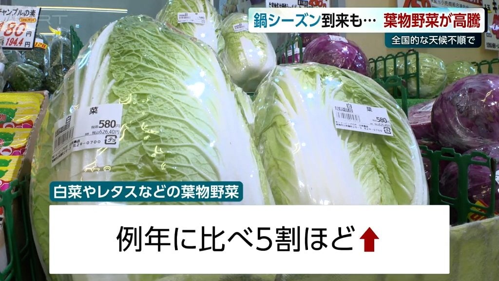 鍋料理が恋しい季節も…天候不順で白菜などの葉物野菜の価格が高騰　スーパーで現状を聞く