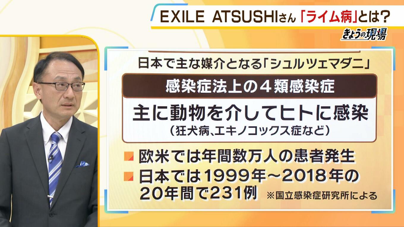 ライム病を媒介するダニはどれですか?