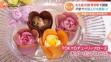 お土産スポット東京駅 “お宝限定品”に子どもに大人気“謎のグミ” 外国人が爆買いの芸術的な焼き菓子も 進化する東京駅のお土産事情とは!?|TBS NEWS DIG