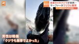 マリンスポーツ中、突如現れたクジラに衝突…「でっかいフットボール選手にタックルされた感じだった」|TBS NEWS DIG