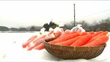 雪下にんじん「本来の味を楽しんでもらいたい 最高の出来だと思っています」小ぶりだけど甘さは凝縮 新潟県阿賀町|TBS NEWS DIG
