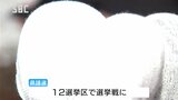 県議選あす投開票　12選挙区で候補者が最後の訴え　長野|TBS NEWS DIG