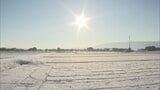 平地でも積雪 路線バスが運転見合わせ スリップ事故は100件以上 小中学校が臨時休校も 福岡県|TBS NEWS DIG