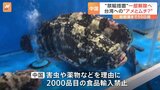 中国“台湾産禁輸”解除へ 台湾総統選挙まで50日切る 台湾産「ハタ」「釈迦頭」の禁輸 分かれる解除可否の背景|TBS NEWS DIG
