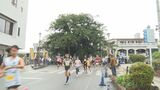 自然豊かなやんばる路を満喫 名護チャレンジRUN2024に1027人が挑戦 | 沖縄のニュース|RBC 琉球放送