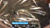 きょうは釣りすぎました…冬の風物詩・諏訪湖の「ワカサギ釣り」にぎわう、湖に浮かぶ「ドーム船」の中で… 長野・岡谷市|TBS NEWS DIG