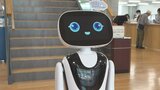 業務効率化と人手不足解消に一役　富士川町役場で自走型AI案内ロボットお披露目|TBS NEWS DIG