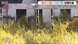 “暑さに強いコシヒカリ”「NU1号」収穫 記録的猛暑に雨不足も「収量は1割程度多い見込み」|TBS NEWS DIG