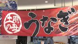 あさって(26日)は土用の丑の日 稚魚豊漁で今年は「お手頃」約300gの特大サイズも【岡山】|TBS NEWS DIG