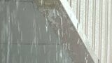 梅雨空戻る 霧と激しい雨で空の便欠航、高速道で通行止めも 大分 | 大分のニュース|OBS NEWS|大分放送