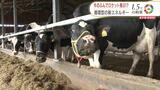 牛のふんがクリーンなエネルギーに…すでに乳製品工場で活用 将来は宇宙ロケットの燃料にも 北海道大樹町 | 北海道のニュース|HBC北海道放送