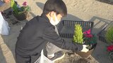 小学生がビオラなどの寄せ植えに挑戦　コンテナガーデンで花と触れ合う　山梨・吉田小学校|TBS NEWS DIG